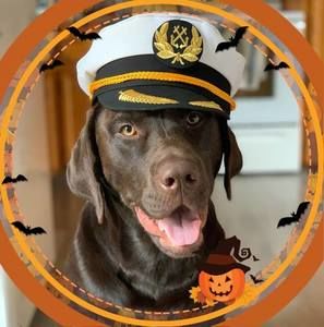 Meet your Posher, Melanie dawn